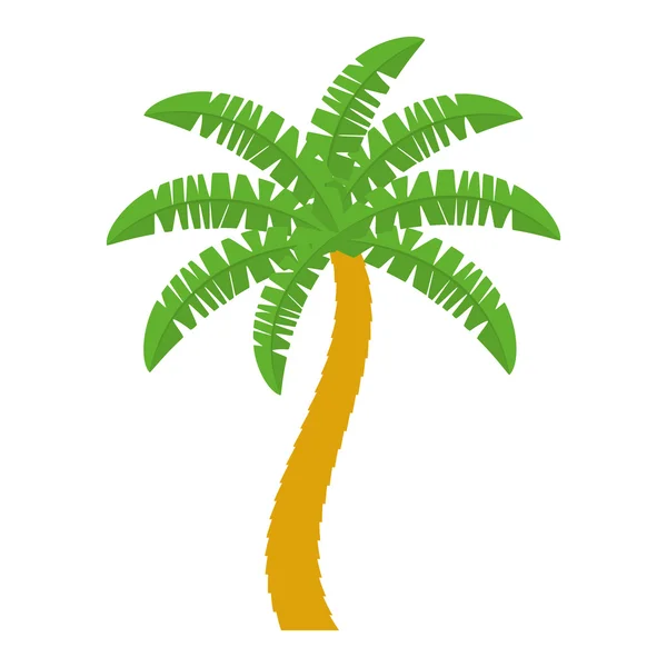 Palm trópusi fa elszigetelt ikon — Stock Vector