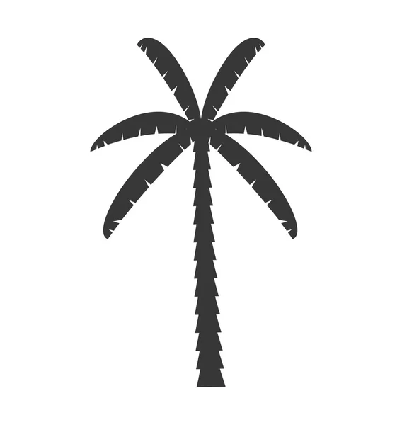 Palm tropical tree isolated icon — Stock Vector