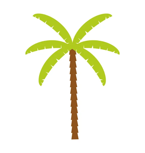 Palm tropical tree isolated icon — ストックベクタ