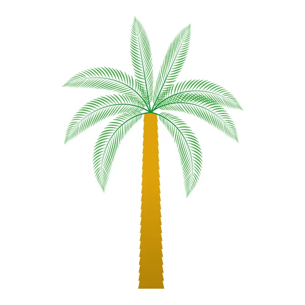 Palma árvore tropical ícone isolado — Vetor de Stock