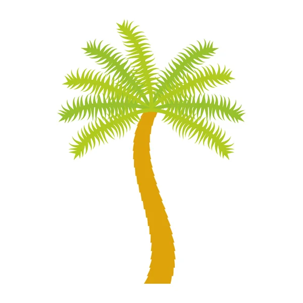 Palme tropischer Baum isolierte Ikone — Stockvektor