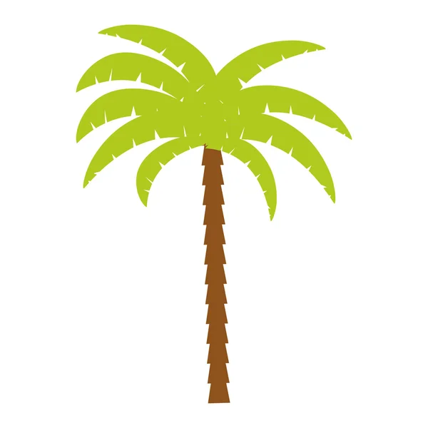 Palm tropik ağaç izole simgesi — Stok Vektör