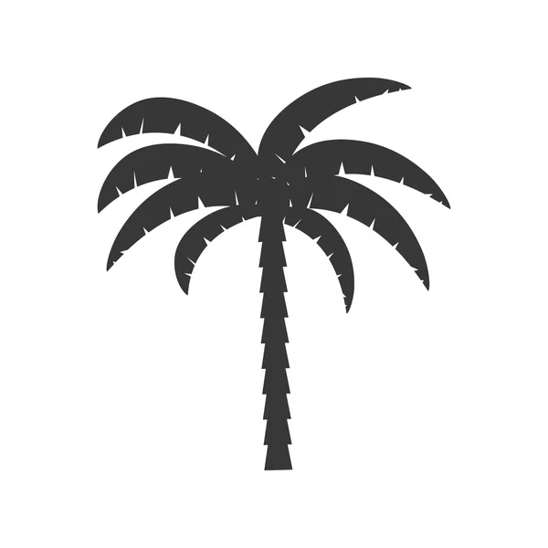 Palm tropical tree isolated icon — Stock Vector