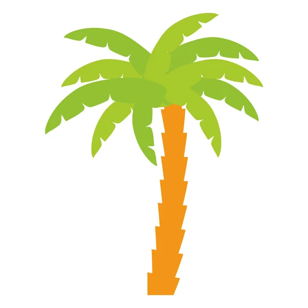 Palm tropische boom geïsoleerd pictogram — Stockvector