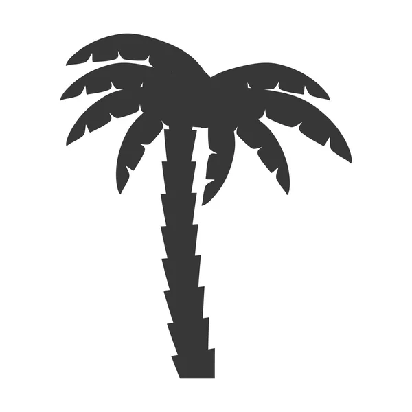 棕榈树热带孤立的图标 — 图库矢量图片