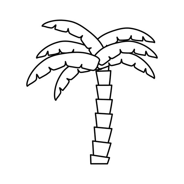 Palmera árbol tropical aislado icono — Vector de stock