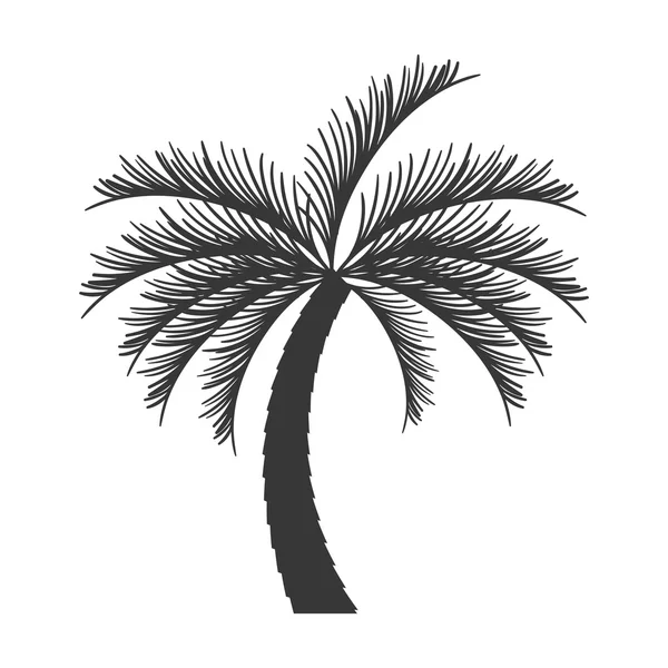 Palmera árbol tropical aislado icono — Vector de stock