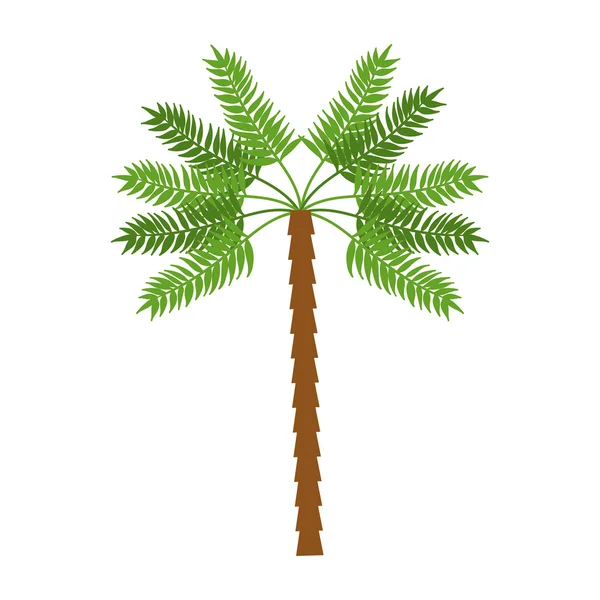 Palmera árbol tropical aislado icono — Vector de stock