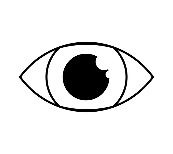 Auge menschliche Ikone isoliert — Stockvektor