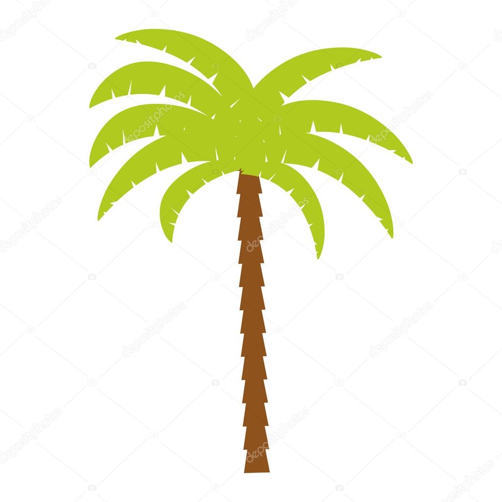  Palmier  arbre tropical ic ne isol e image vectorielle par 