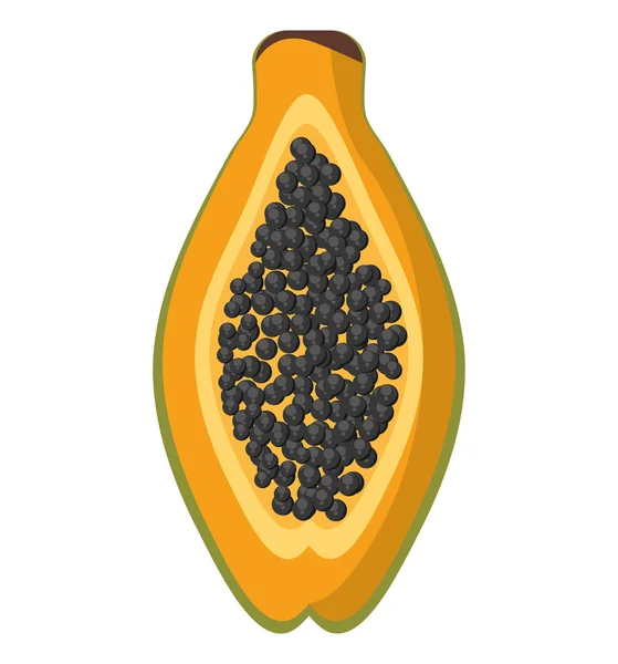 Papaya tropical fruit icon — Stock Vector