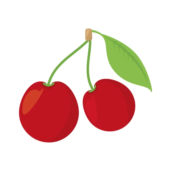 Cereza fruta fresca aislado icono — Vector de stock