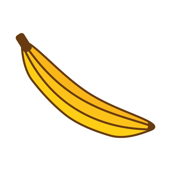 Banaan tropisch fruit pictogram — Stockvector