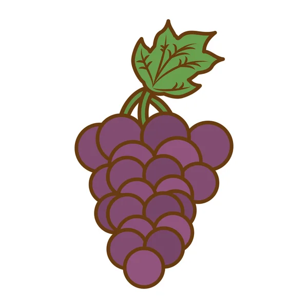 Trauben gesund Obst Symbol — Stockvektor