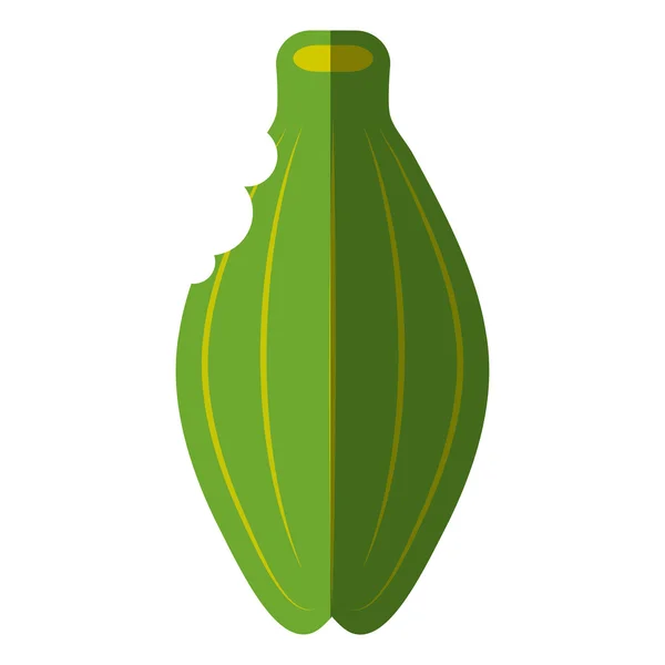 Papaya tropical fruit icon — Stock Vector