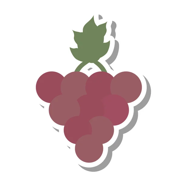 Grapes healthy fruit icon — Stock Vector