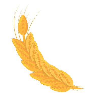 Spike bira izole simgesi