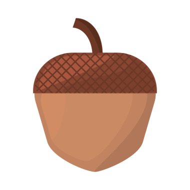 akçaağaç tohumu izole simgesi