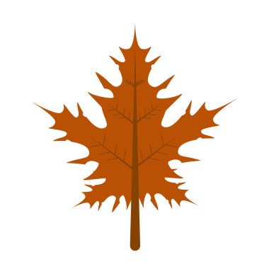 yaprak sonbahar izole simgesi