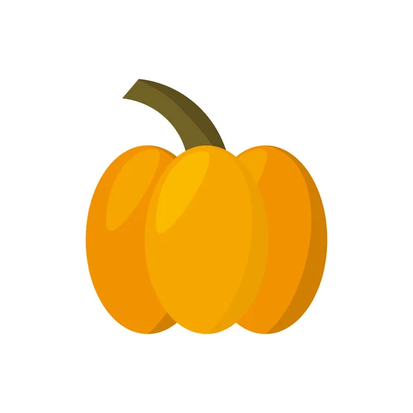 Thanksgiving pumpkin isolated icon — Stock Vector