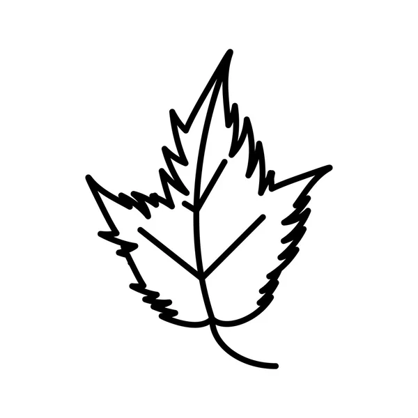 Feuille automne isolé icône — Image vectorielle