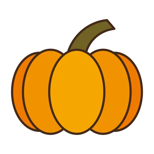 Thanksgiving pumpkin isolated icon — Stock Vector