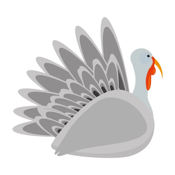 Turkey bird thanksgiving icon — Stock Vector