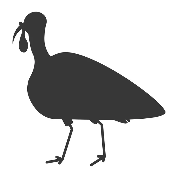 Turkije vogel thanksgiving pictogram — Stockvector