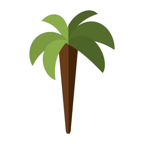 Árbol palmera playa aislado icono — Vector de stock