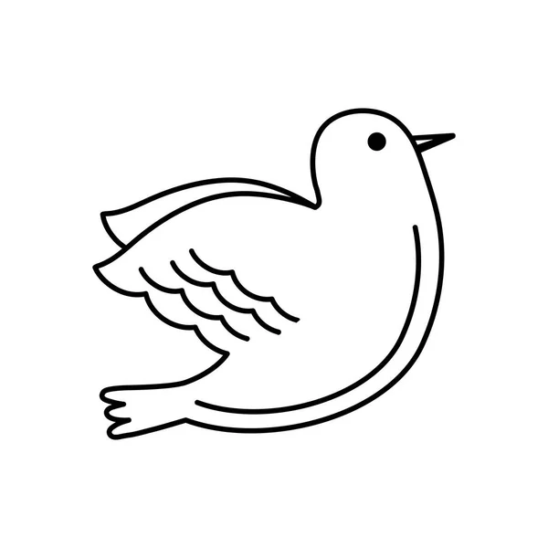 Dove bird isolated icon — Stock Vector