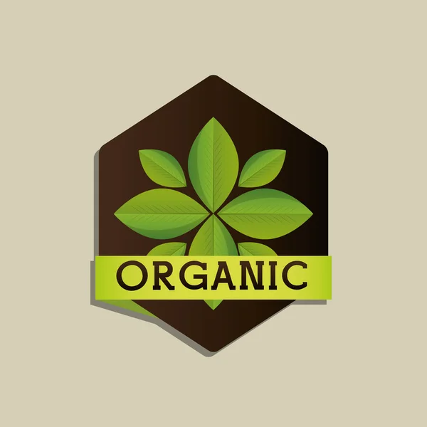 Organic food product — Stock Vector