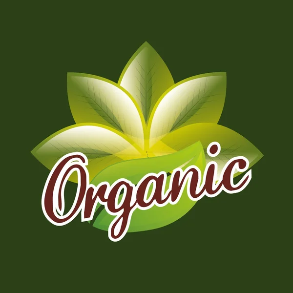 Organik gıda ürün — Stok Vektör