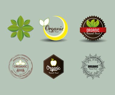 Organik gıda ürün