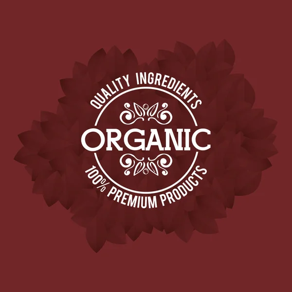 Organikus termék — Stock Vector