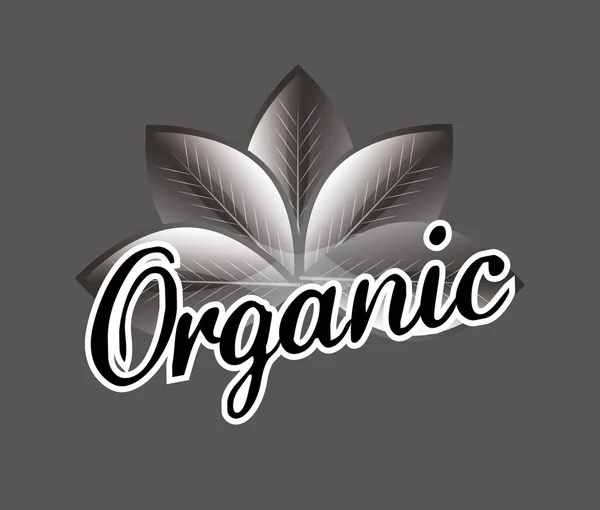 Organik gıda ürün — Stok Vektör