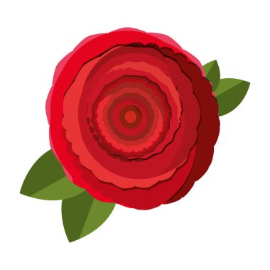 çiçek çiçek Güzellik