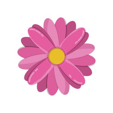 çiçek çiçek Güzellik