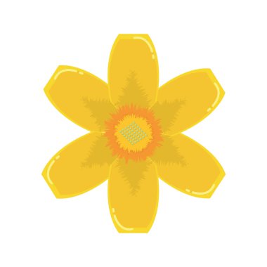 çiçek çiçek Güzellik