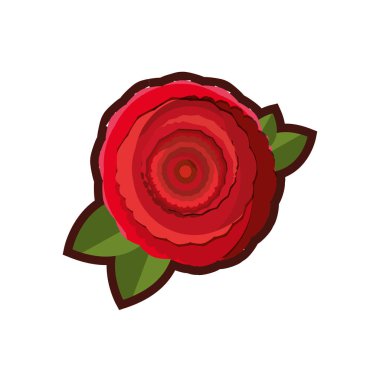 çiçek çiçek Güzellik