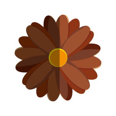 çiçek çiçek Güzellik