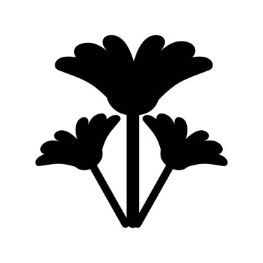 çiçek çiçek Güzellik