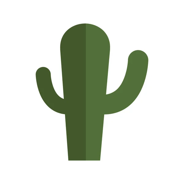 Cactus natural plant — Stock Vector