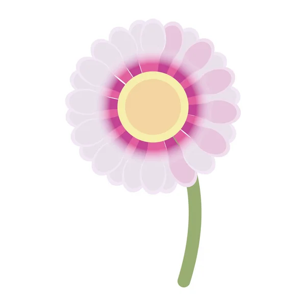 Fleur floral beauté — Image vectorielle