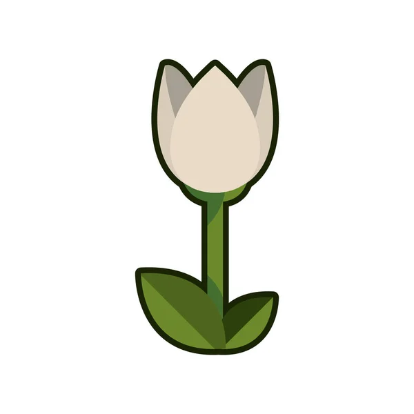Fleur floral beauté — Image vectorielle