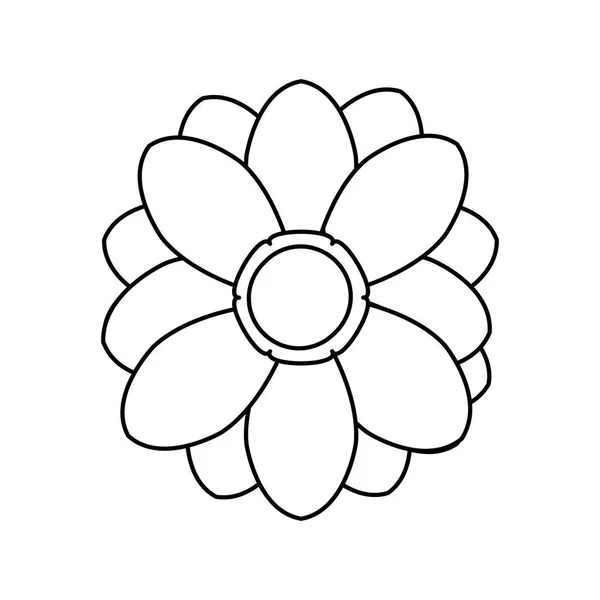 Bloem floral schoonheid — Stockvector