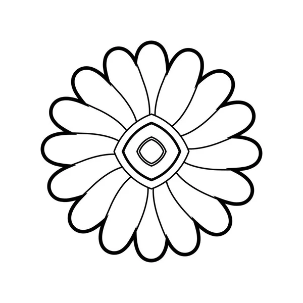 Bloem floral schoonheid — Stockvector