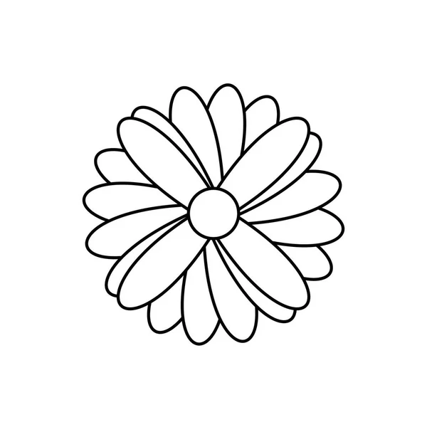 Bloem floral schoonheid — Stockvector