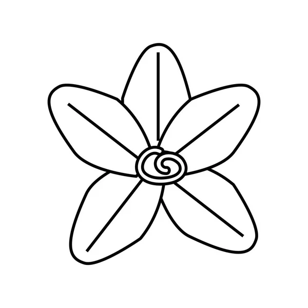 Flor belleza floral — Archivo Imágenes Vectoriales