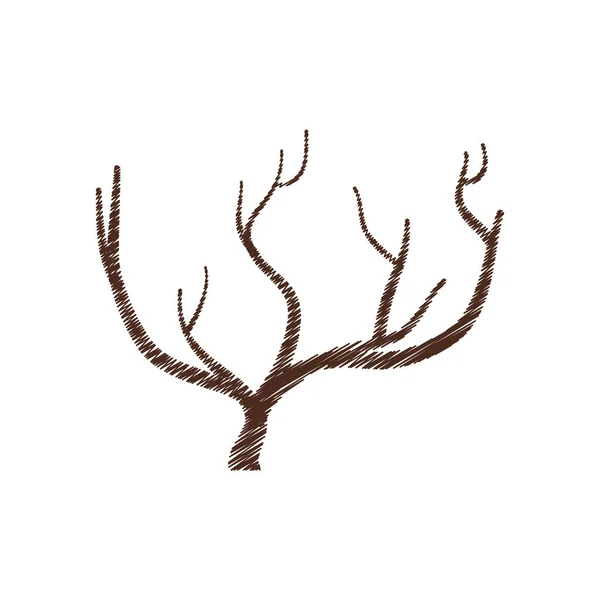 Χέρι υποκατάστημα δέντρο σχέδιο απομονωμένο εικονίδιο — Διανυσματικό Αρχείο