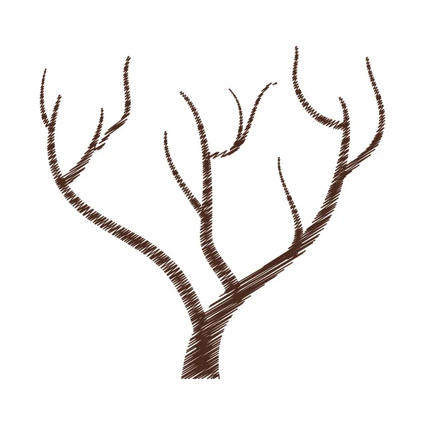 Árbol rama mano dibujo aislado icono — Vector de stock